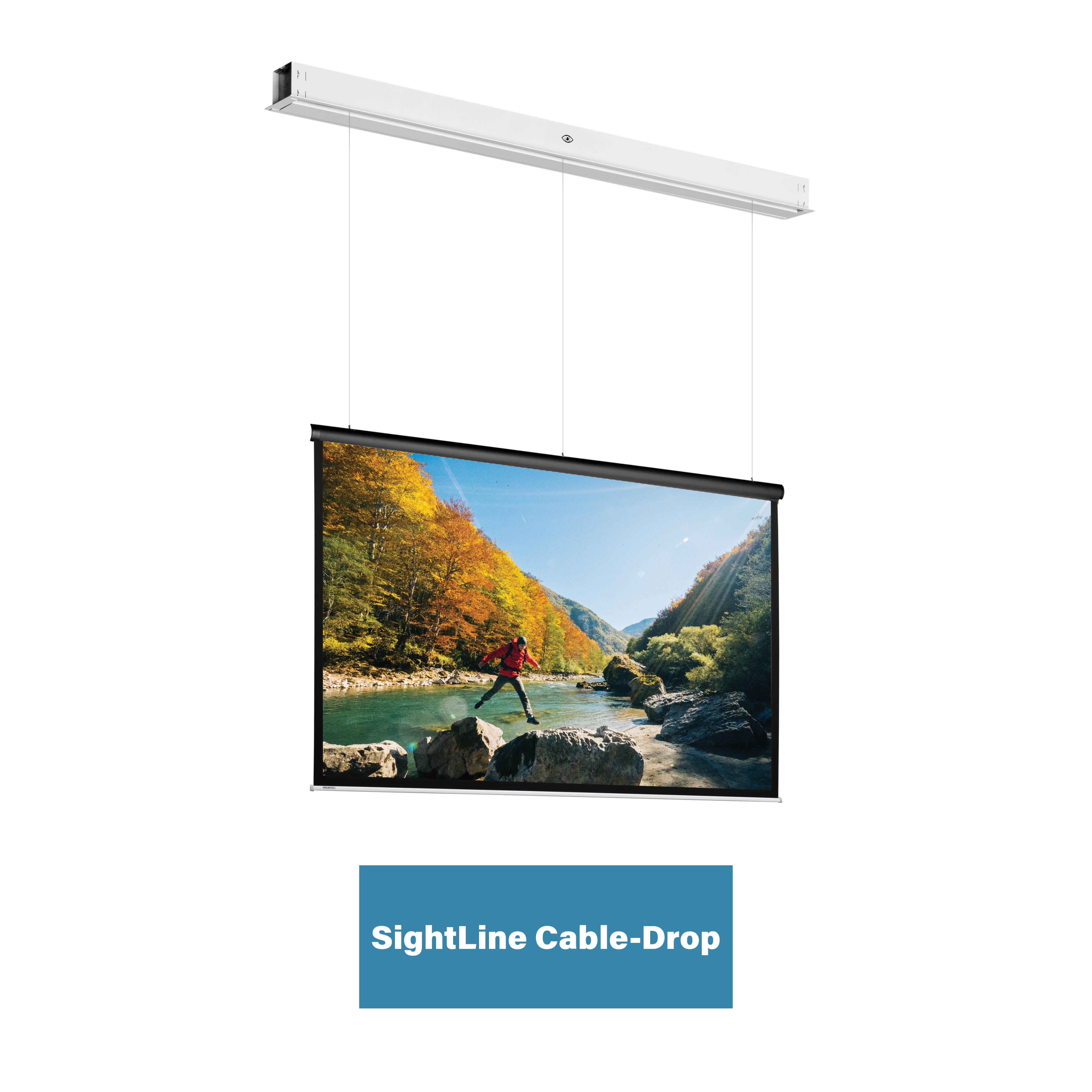 Projecta DescenderPro SightLine Motorleinwand Mattweiss 16:9 All Projecta