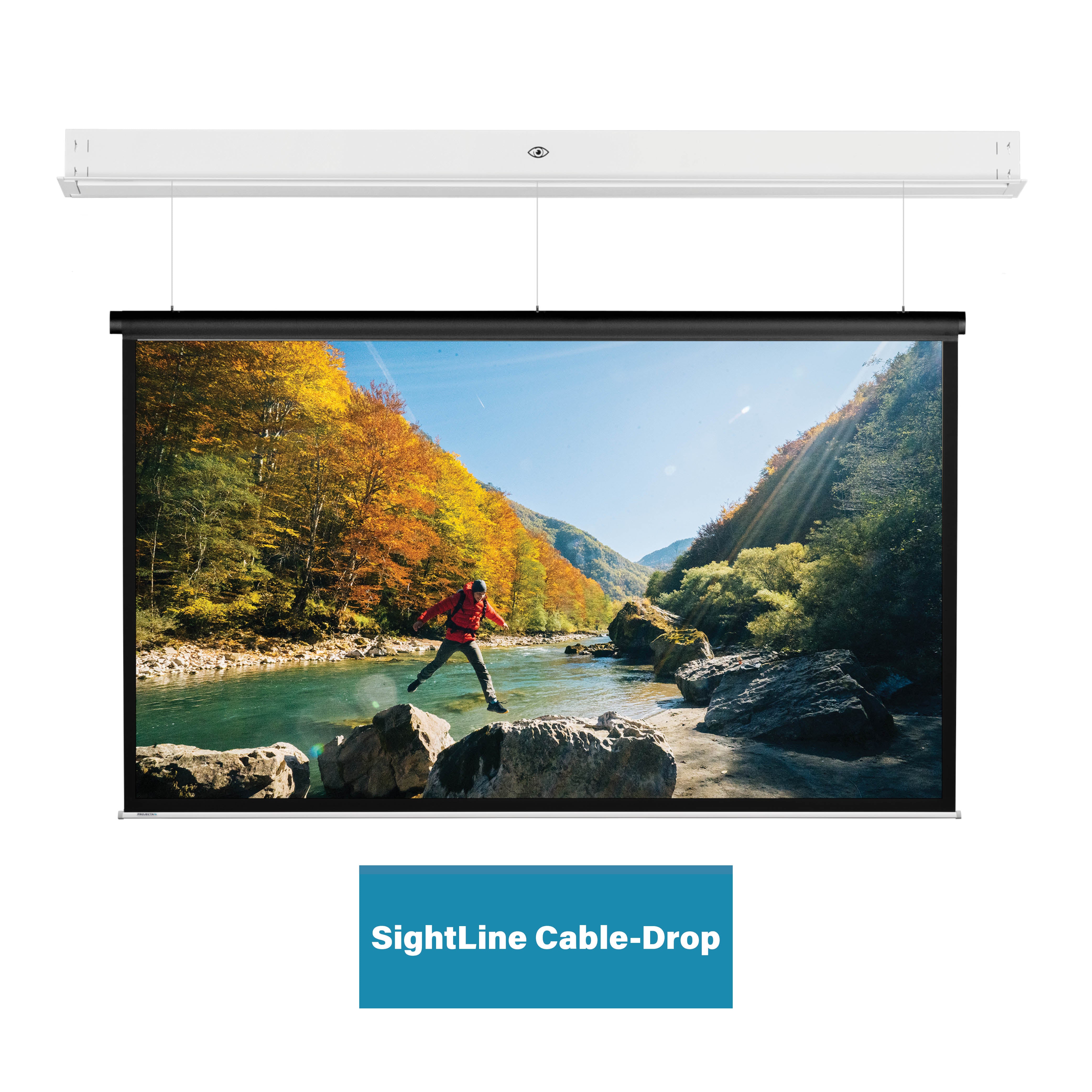 Projecta DescenderPro SightLine Motorleinwand Mattweiss 16:9 All Projecta