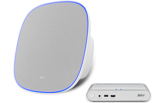 AVer FONE700 Deckenlautsprecher mit Verbindungshub – Perfekte Audiolösung für Ihren Meetingraum (inkl. 10m Kabel) Videokonferenz AVer