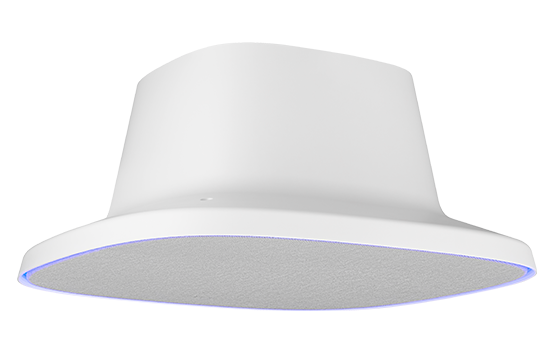 AVer FONE700 Deckenlautsprecher mit Verbindungshub – Perfekte Audiolösung für Ihren Meetingraum (inkl. 10m Kabel) Videokonferenz AVer