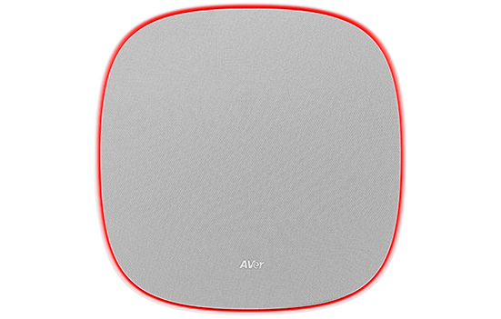 AVer FONE700 Deckenlautsprecher mit Verbindungshub – Perfekte Audiolösung für Ihren Meetingraum (inkl. 10m Kabel) Videokonferenz AVer