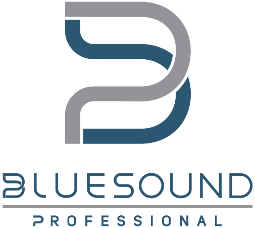 BlueSound Katalog